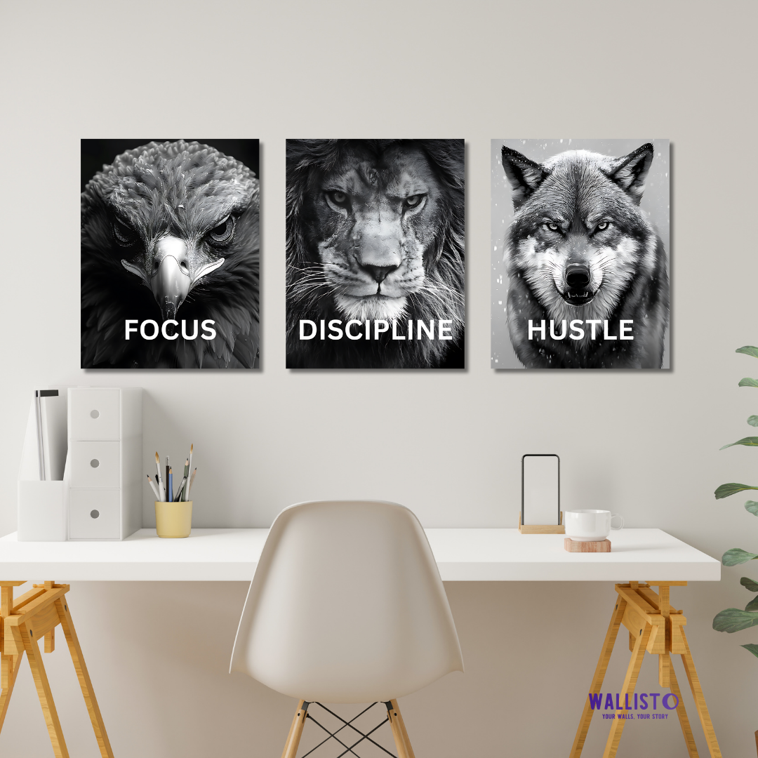 Focus Discipline Hustle (Pack of 3)