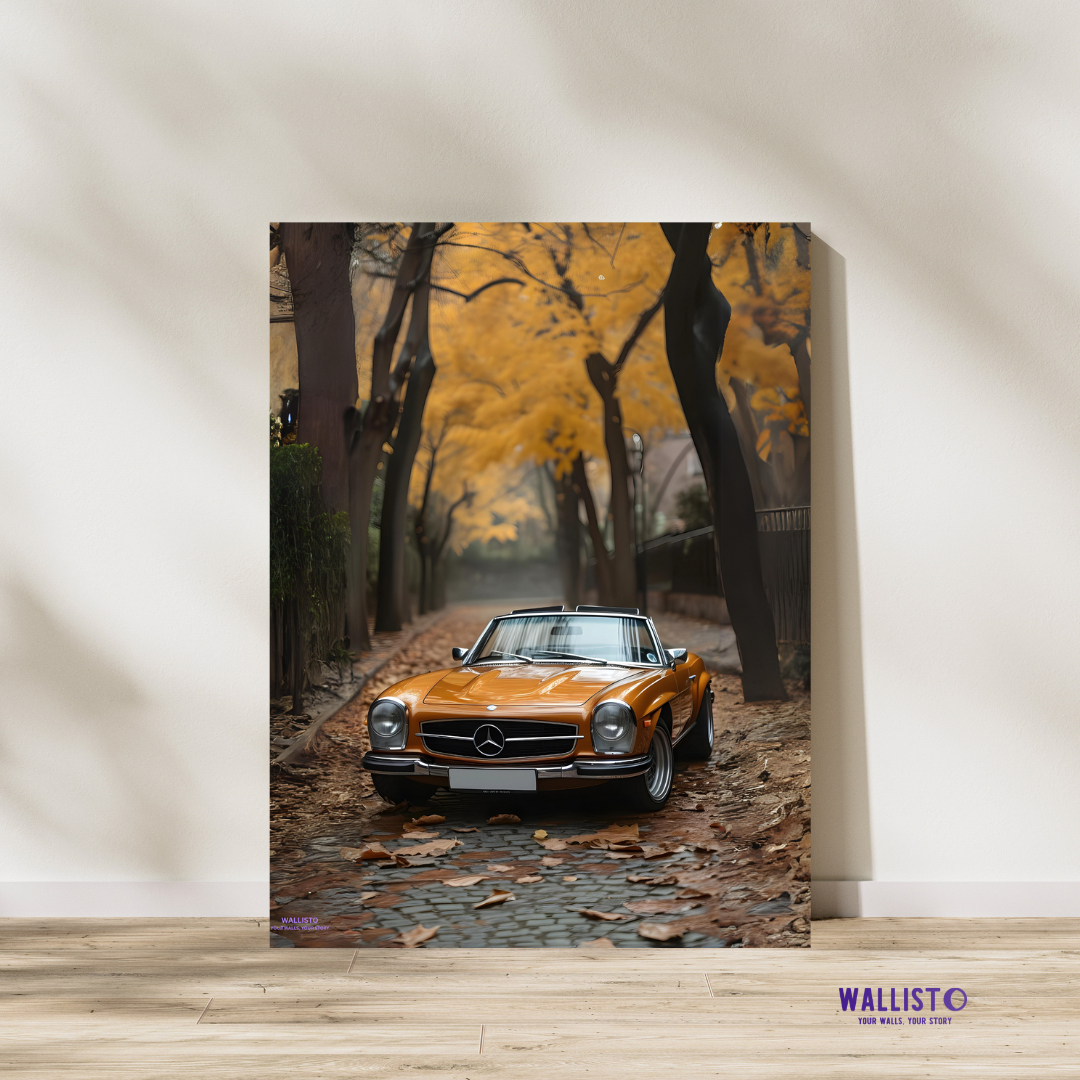 Mercedes Autumn Roadster