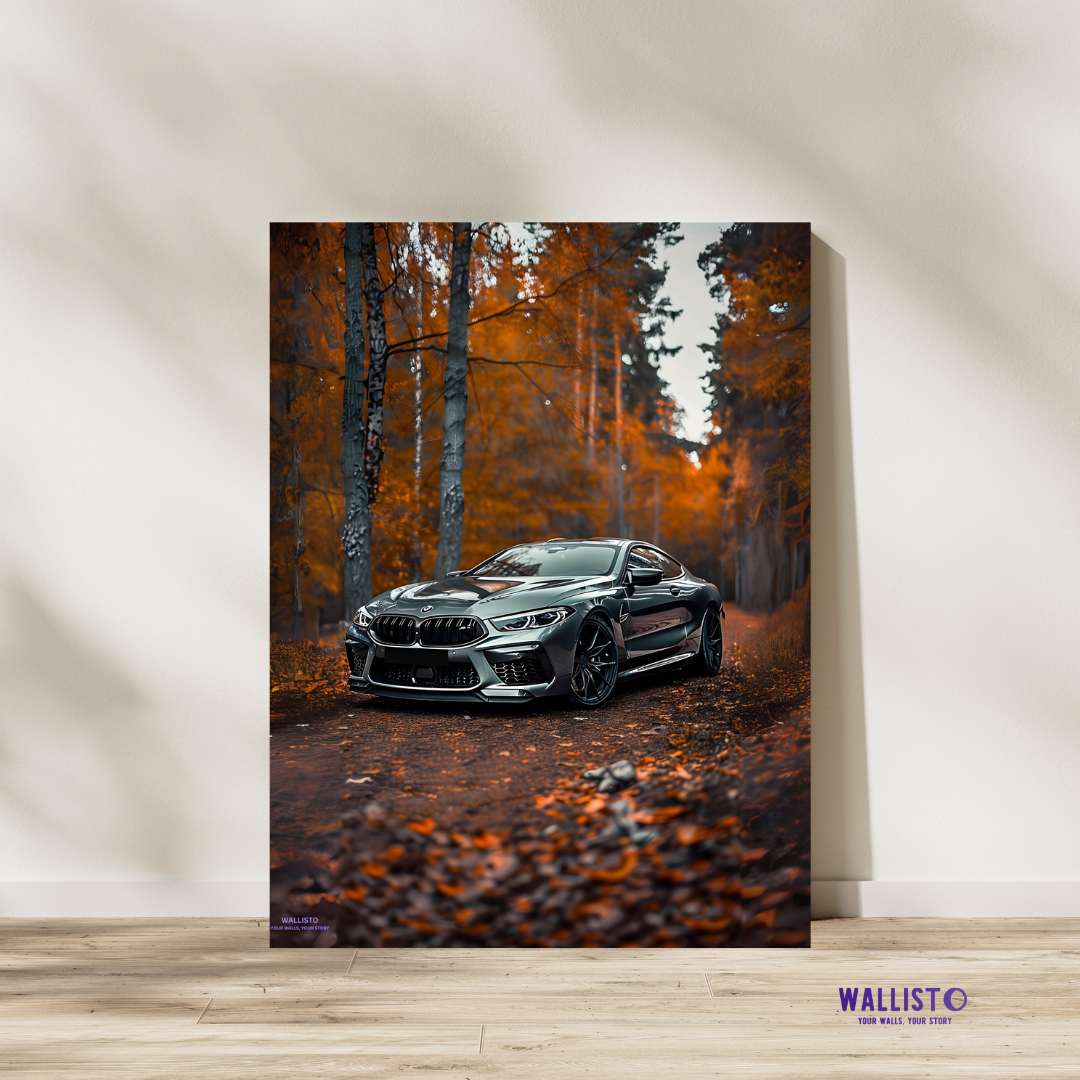 BMW Autumn Drive